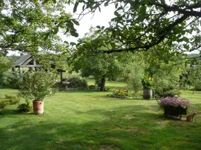 Arbre A Fruits - Image 5