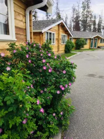 Jasper House Bungalows - Image 2