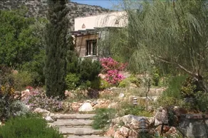 To The Garden - Image 4
