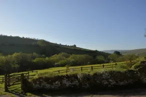 Gilfach Farm - Image 5