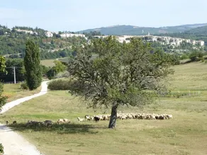 La Bergerie - Image 5