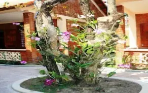 Truong Linh Phu Quoc Resort - Image 4