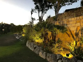 Palm Tree Golf Retreat - Image 5