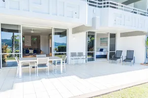 Frangipani 5 - Image 5