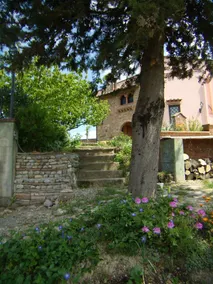 B&B Il Poggetto - Image 4