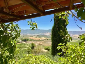 Casa Vacanze S.Giuseppe - Image 4