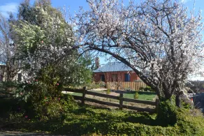 Mulberry Cottage Bed & Breakfast - Image 2