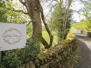 Cyffdy Cottage - Aran - Image 5