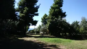 Jimmys Nature House - Image 5