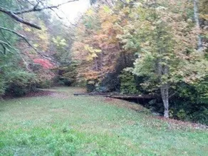 Creekside Paradise - Image 2