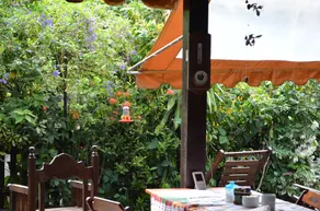 Colibri Resort - Image 2
