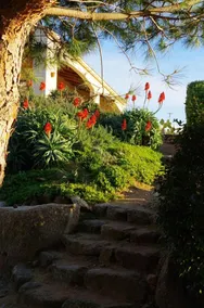 Maison de 3 chambres a Sartene a 400 m de la plage avec vue sur la mer jardin clos et wifi - Image 4