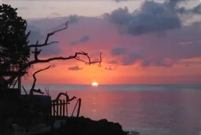 Willowgate Resort Hotel - Image 3