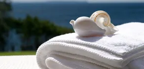 Bozonos Luxury Villa - Image 2