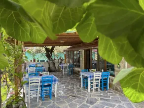 Assos Anemoia - Image 2