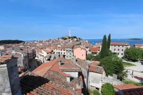 Studio Panorama - Image 4