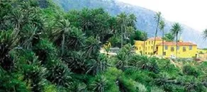 Property With 3 Bedrooms in Sta Úrsula, With Wonderful sea View and En - Image 4
