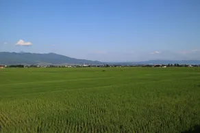 Shiguretei - Image 3