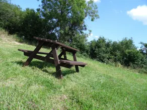 The Stag - Image 5