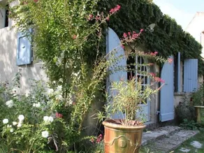 Le Mas des Pins - Image 4