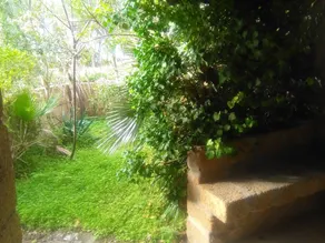 One bedroom house at Praialonga 200 m away from the beach with enclosed garden and wifi - Image 4