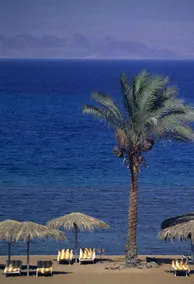 La Playa Beach Resort Taba - Image 2