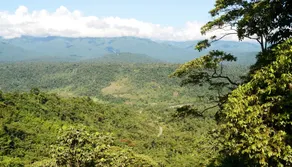 Bellandia Lodge - Image 4