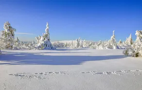Amazing Home in Sälen With 3 Bedrooms and Sauna - Image 4