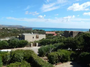 Bilo Mirto - Image 5