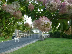 Richmond Highland Farm - Image 2