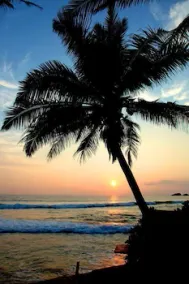 Time N Tide Beach Resort - Image 4
