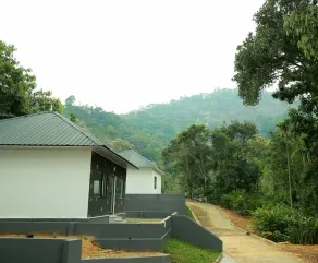 Moon hill munnar - Image 4