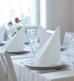 Copenhagen Airport Hotel - Image 3