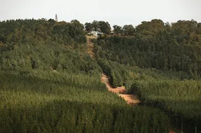 Nannup Hideaway - Image 4