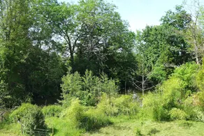 Domaine De L'Arche De Rene - Image 5