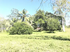 Mango Walk Inn - Image 2