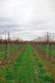 Yalumba Menzies Retreat - Image 3