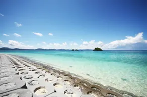 38 nago - Image 3
