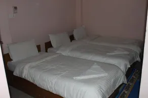 Festoon Hotel Pvt. Ltd. - Image 3