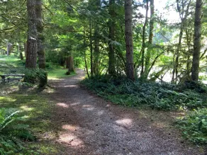 Mt Baker Lodging Condo 33 - Sleeps 4 - Image 3