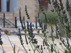 Auberge Provence - Image 5