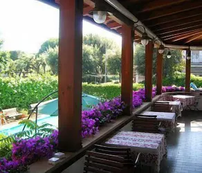 La Coccinella - Image 5