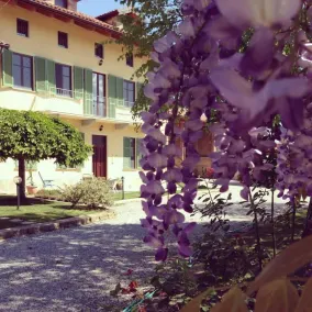 Agriturismo Frutti Rossi Di Biino Marco - Image 3