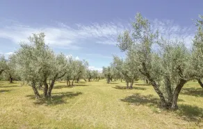 Villa Francesca - Image 5