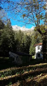 La Tana Dell'orso B&B - Image 3