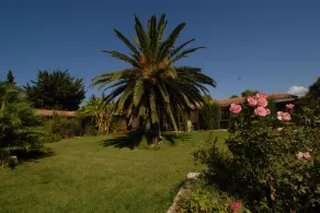 Agriturismo S'Anea - Image 5