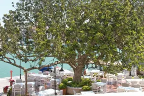 Port Villa Deniz - Image 4