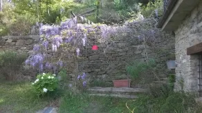B&B La Civetta - Image 5