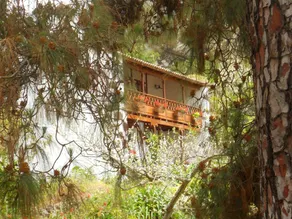 Finca Casa De La Virgen - Image 5