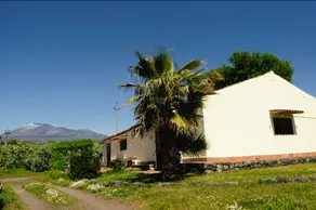 Azienda Agrituristica Mendolito dell'Etna - Image 3